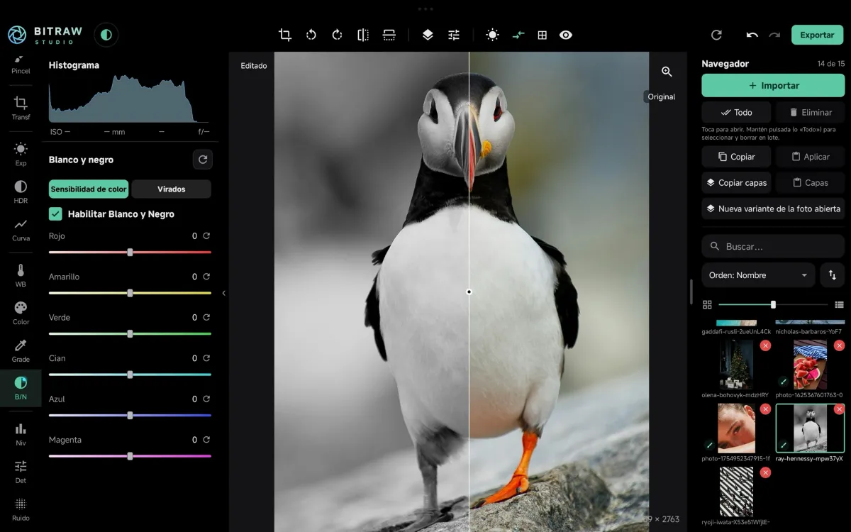 BitRaw Studio con tema AMOLED en tablet